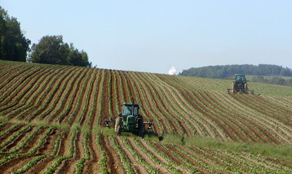 agricoltori e agricoltura