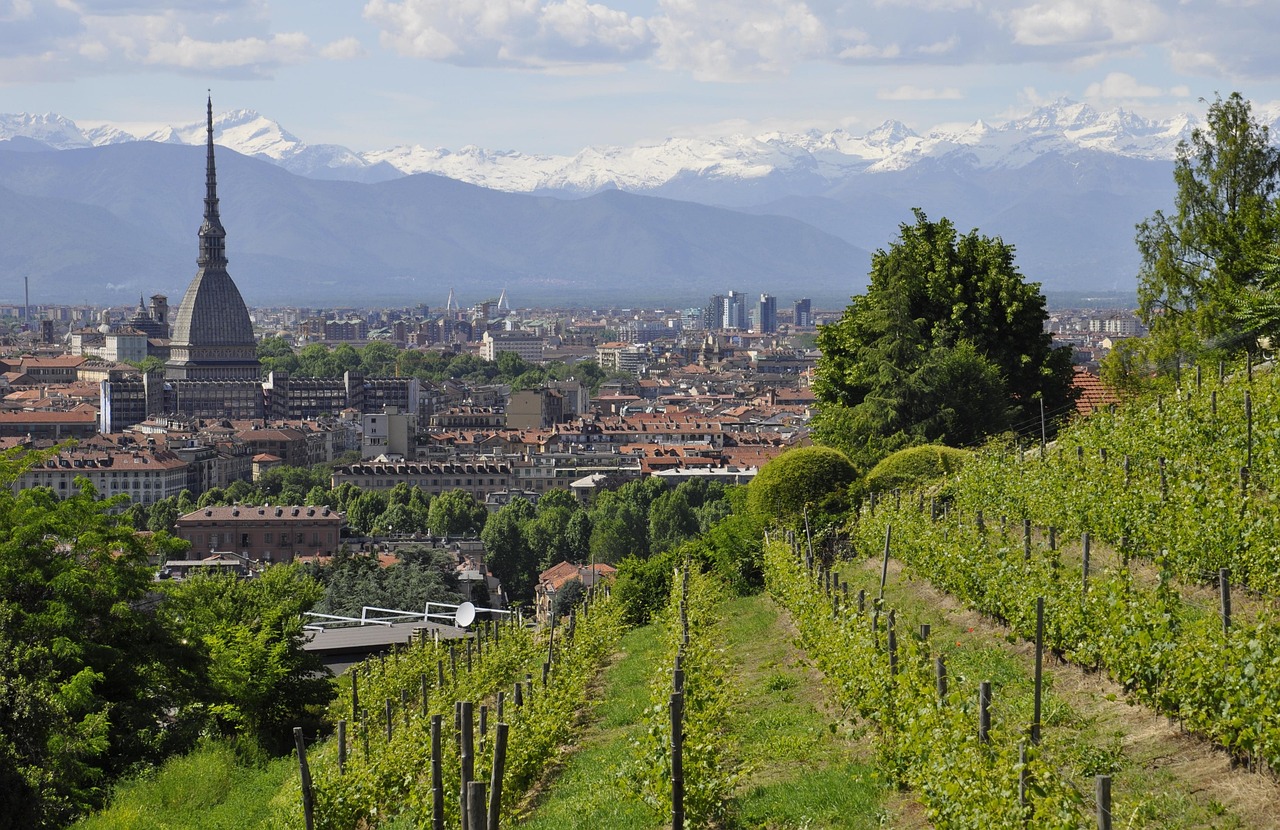 Panorama della Franciacorta con vigneti e colline, simbolo di bellezze naturali e vini pregiati.