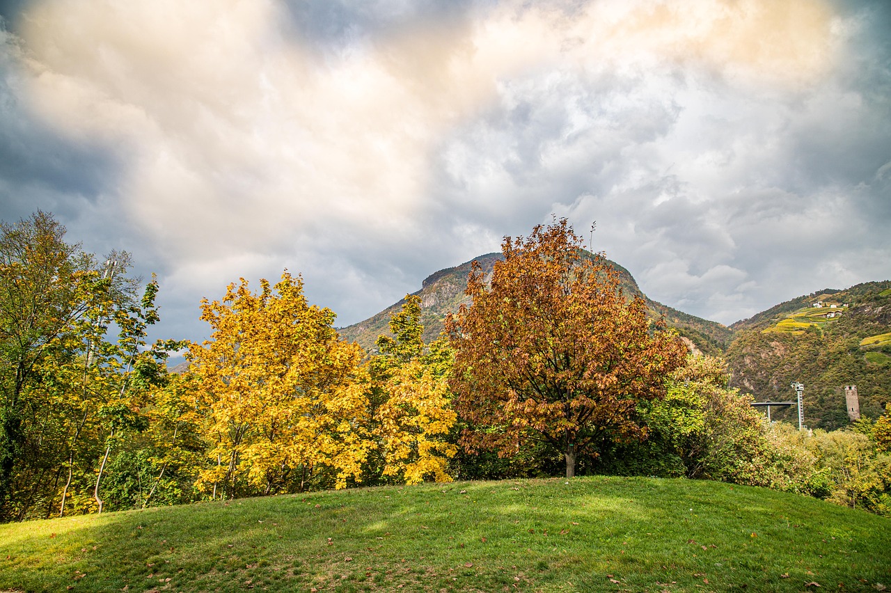 Brescia in autunno, paesaggio con alberi dai colori caldi e foglie che cadono.