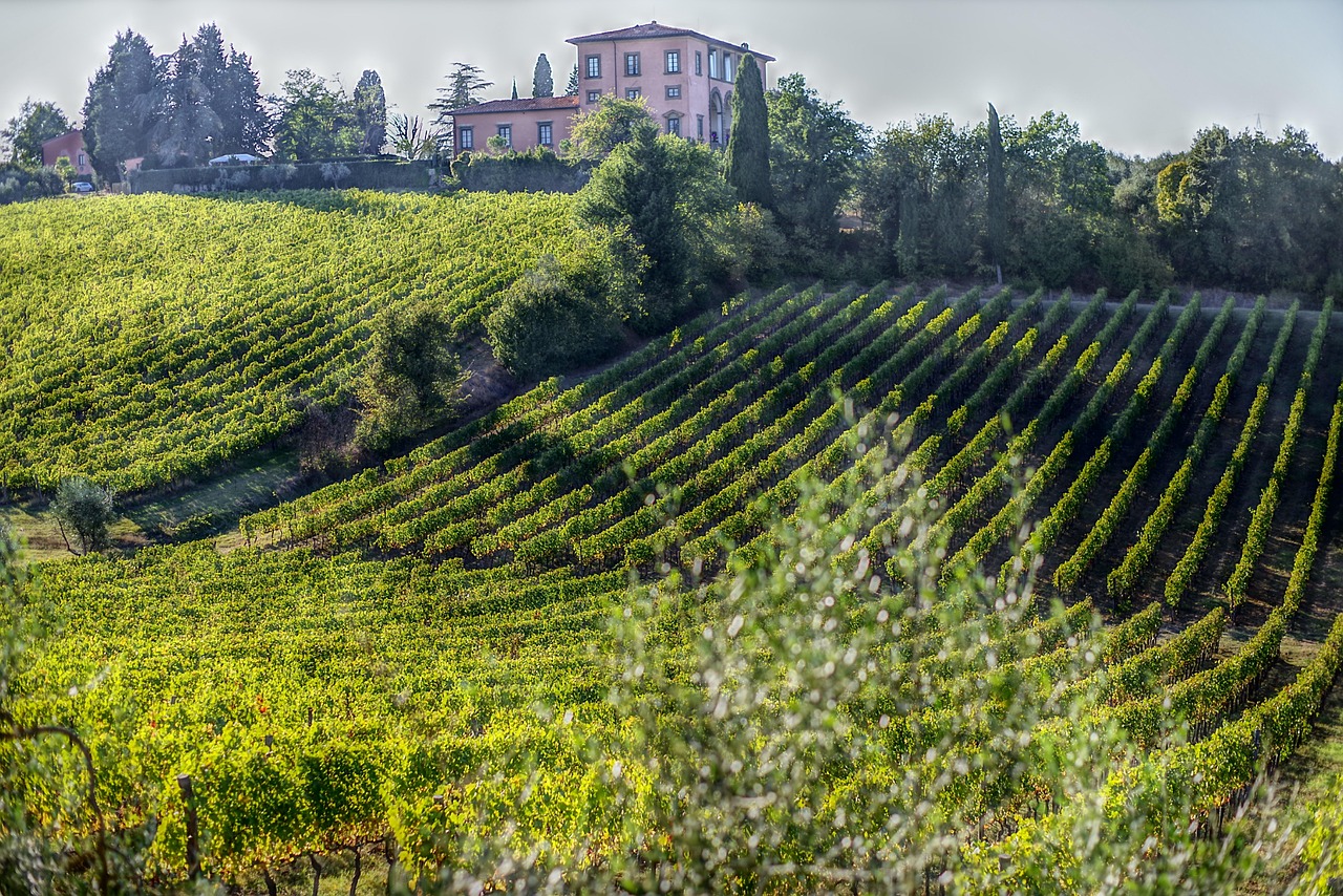 Vista panoramica di una cantina in Franciacorta con vigneti e un elegante hotel sullo sfondo.
