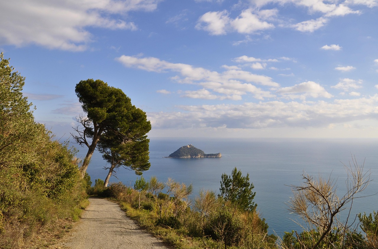 Spiaggia dell'Isola d'Elba con acque cristalline e sabbia fine, ideale per una giornata di sole.