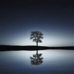 Frasi ispiratrici sulla vita per una buonanotte riflessiva del 2 aprile 2026.